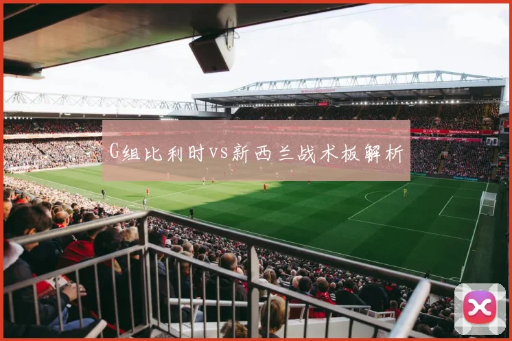 G组比利时vs新西兰战术板解析