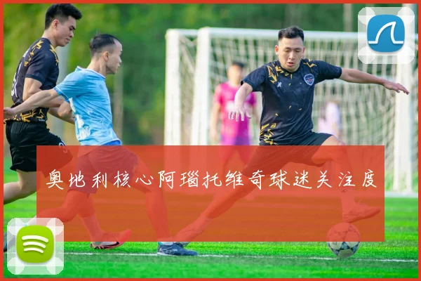 奥地利核心阿瑙托维奇球迷关注度