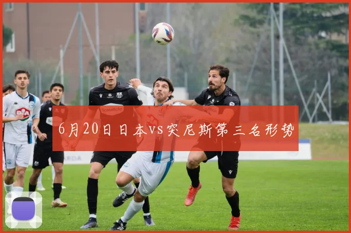 6月20日日本vs突尼斯第三名形势