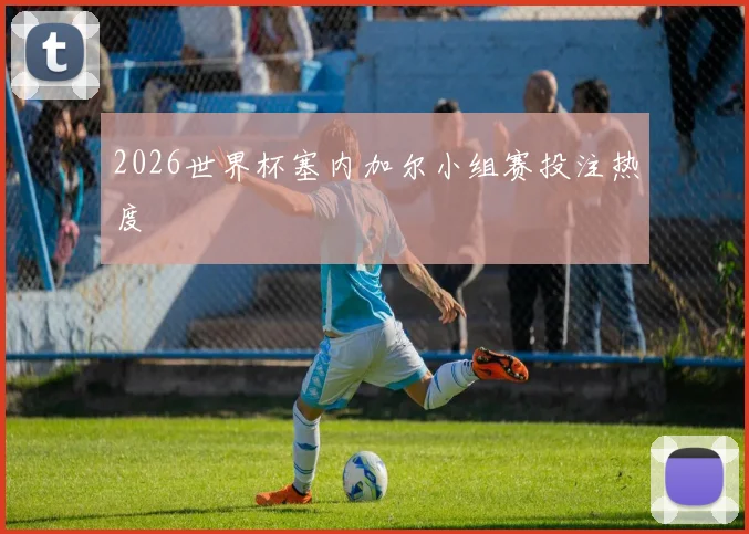2026世界杯塞内加尔小组赛投注热度