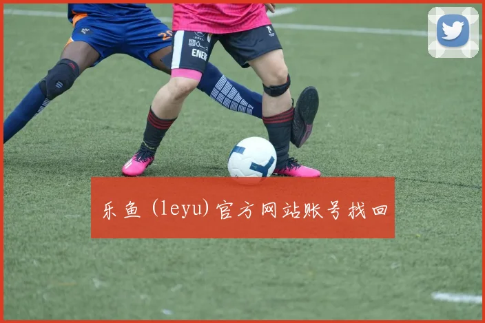 乐鱼 (leyu)官方网站账号找回