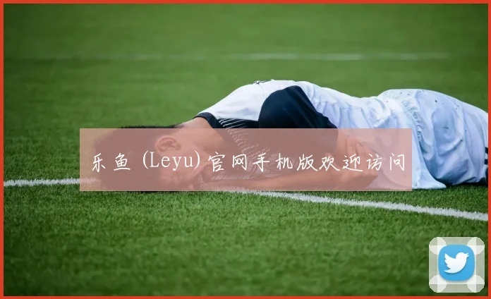 乐鱼 (Leyu)官网手机版欢迎访问