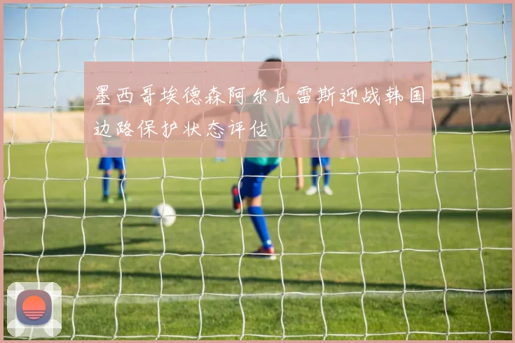 墨西哥埃德森阿尔瓦雷斯迎战韩国边路保护状态评估